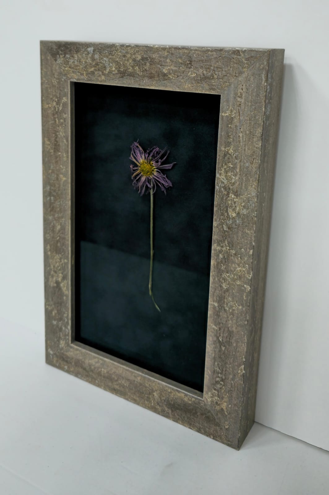 Frame Preview